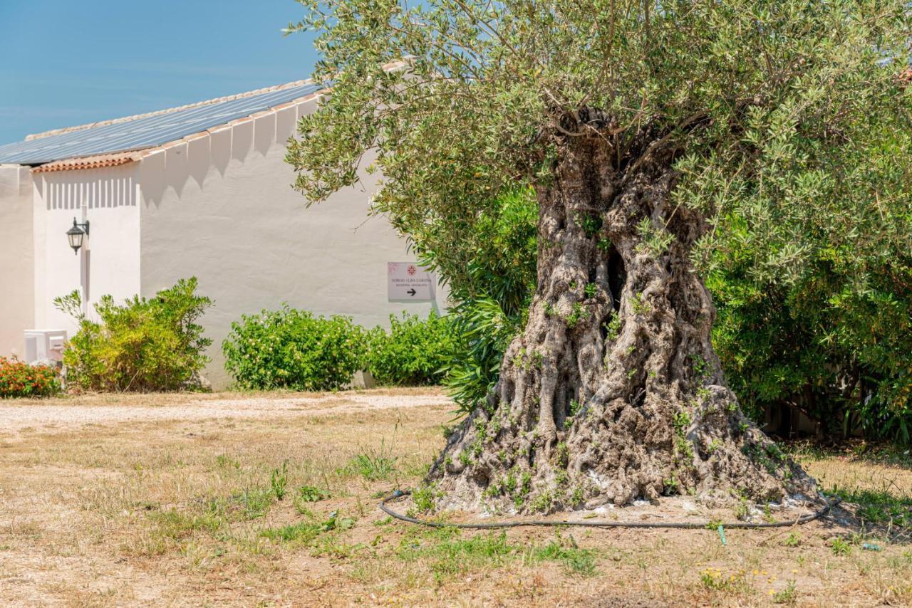 Borgo Alba Barona Turismo Rurale Golfo Aranci Kültér fotó